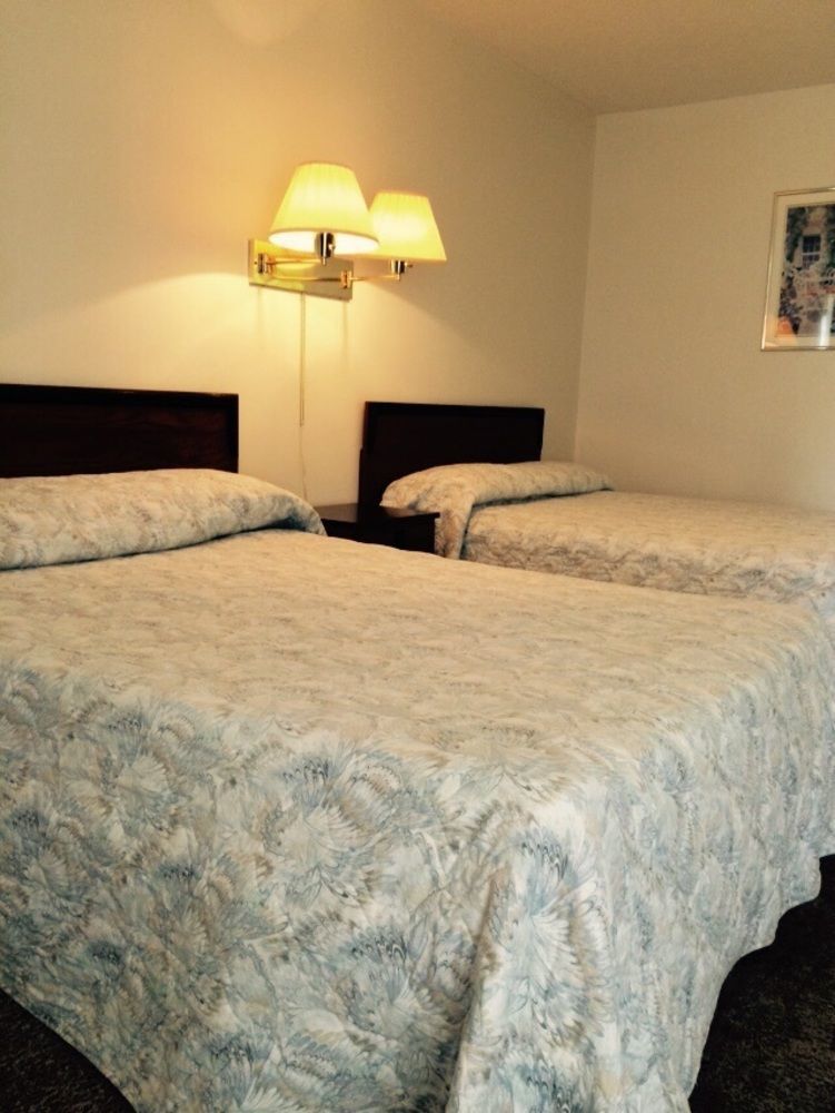לימינגטון Town'N Country Motor Inn מראה חיצוני תמונה